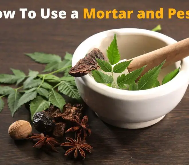 How To Use a Mortar and Pestle – The Complete Guide