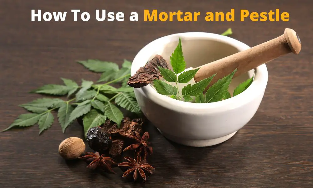 How To Use a Mortar and Pestle The Complete Guide