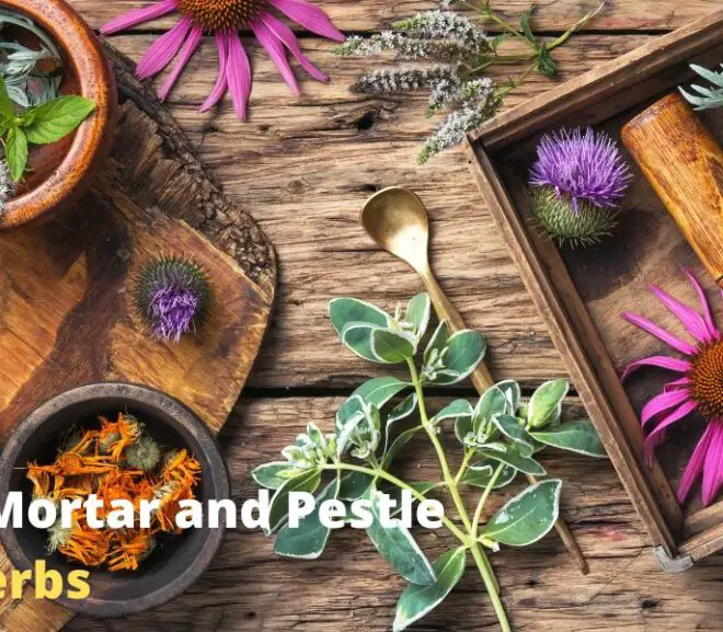 Best Mortar and Pestle for Herbs – In-Depth Review