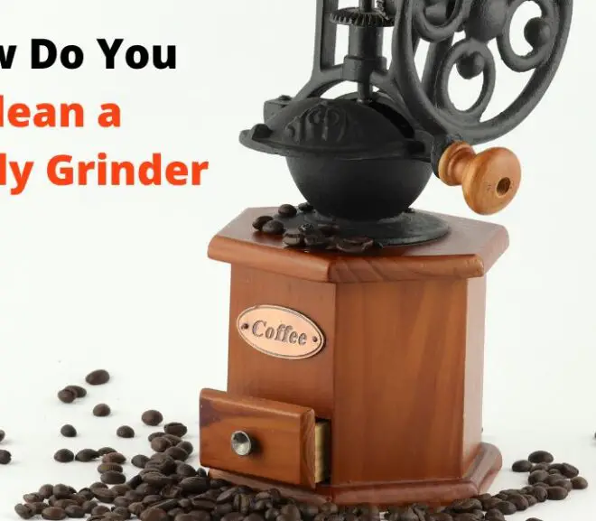 Cleaning a Smelly Grinder – The Complete Guide