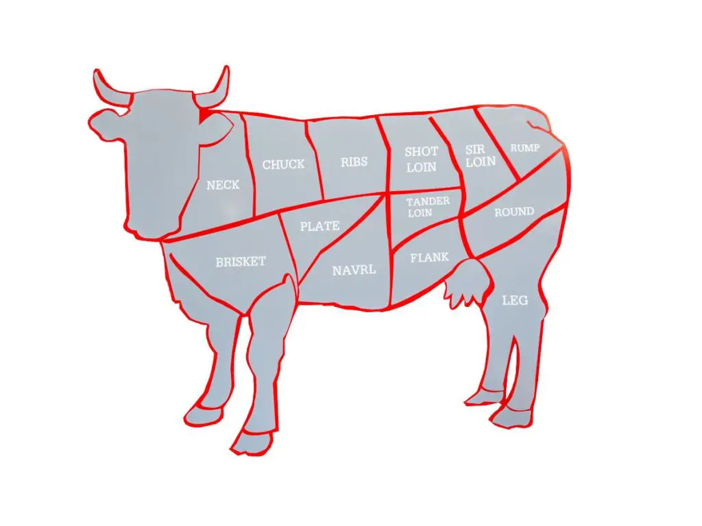 Cuts of Beef chart